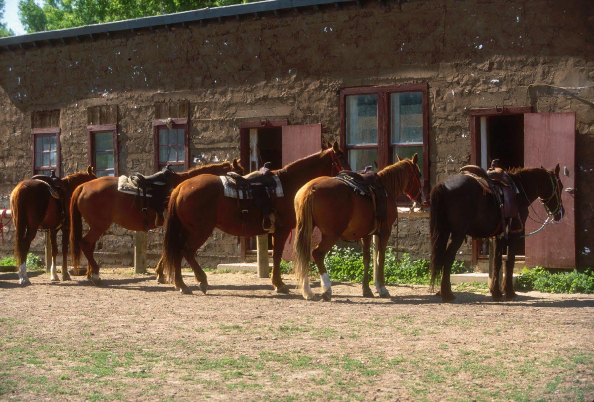 The Ranch At Ucross Hotel Exterior foto